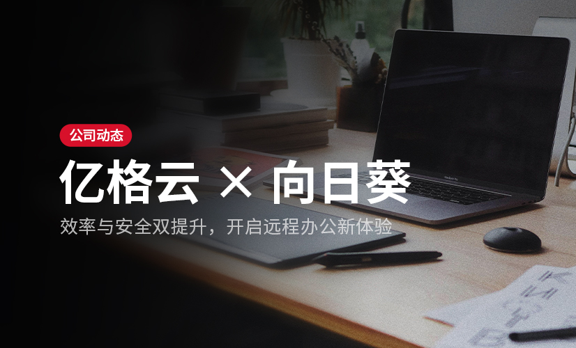 亿格云 × 向日葵:效率 + 安全双翻倍!解锁办公远控升级体验